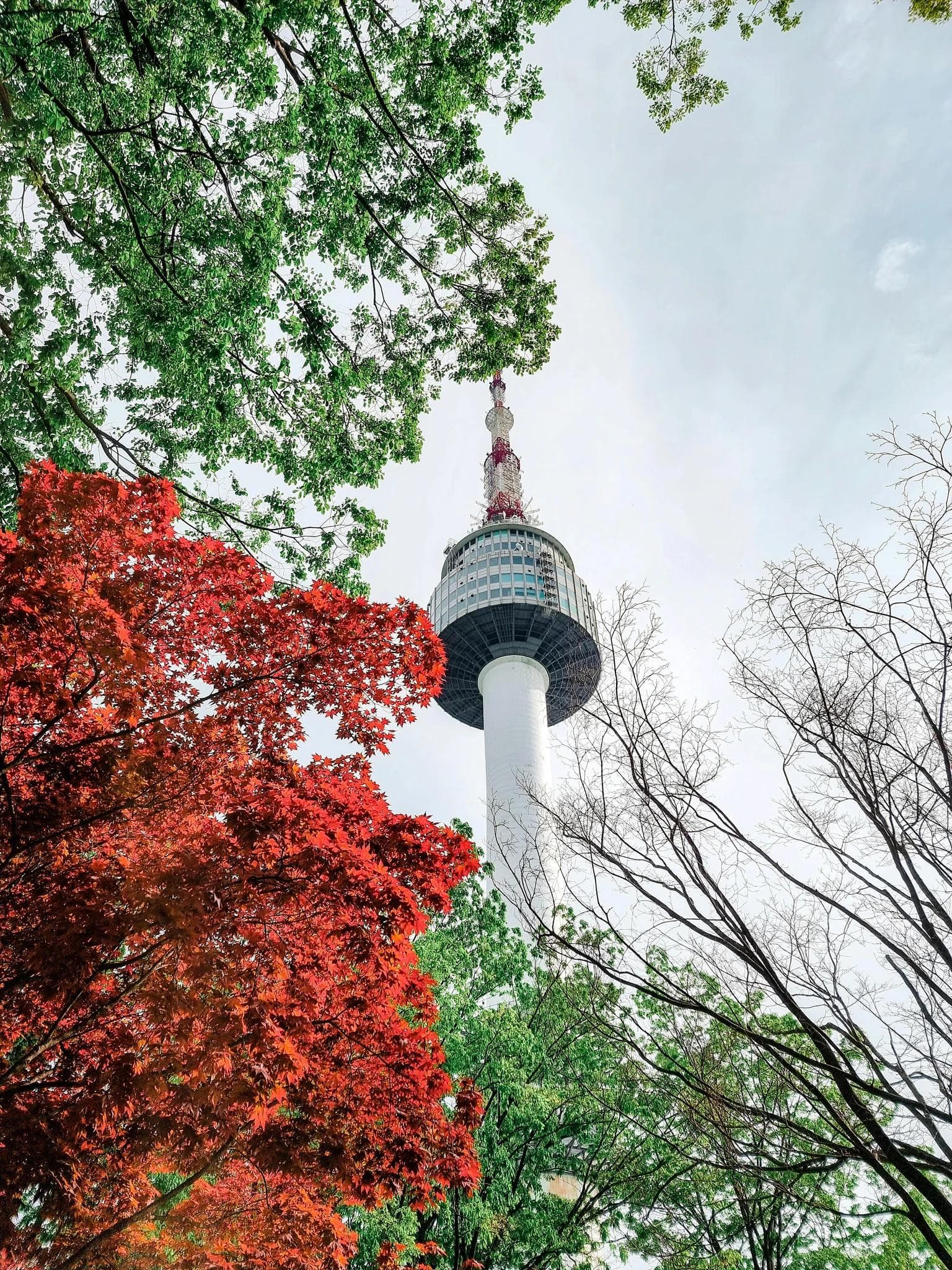 Unveiling Seoul: A First Timer’s Guide to Korea’s Dynamic Capital