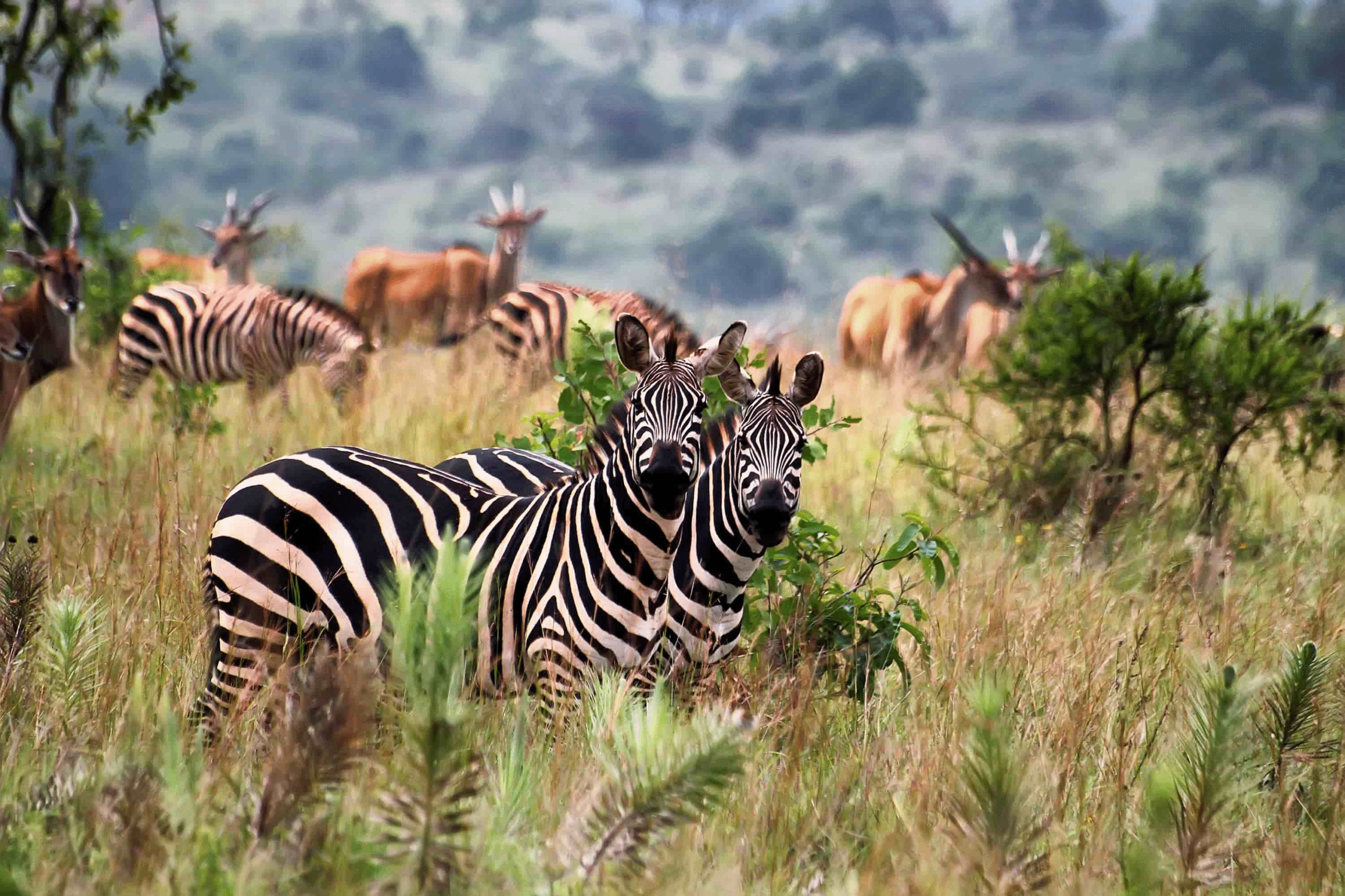 National Geographic’s 25 Must-See Destinations & Why You Should Care