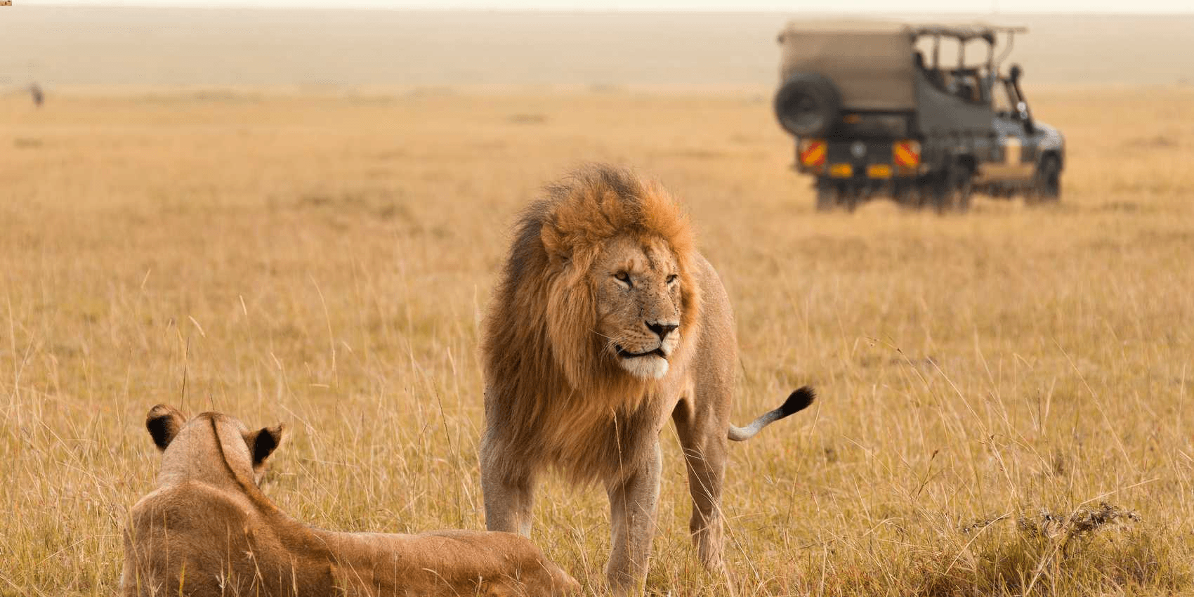 Visa-Free Escapes For Your Year-End Holidays