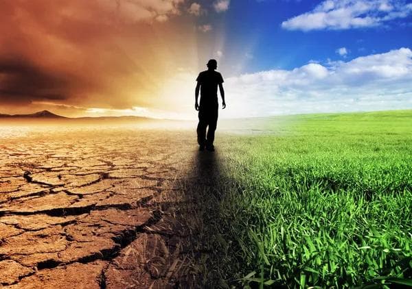 Embracing Change: How to Thrive Through Life’s Transitions