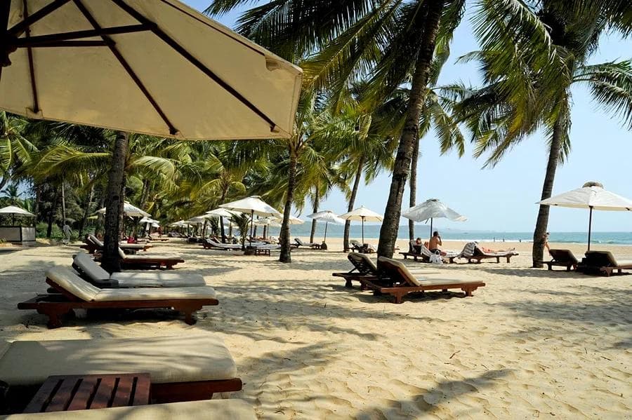 Beyond the Beaches: A Goa Itinerary Rooted in Culture