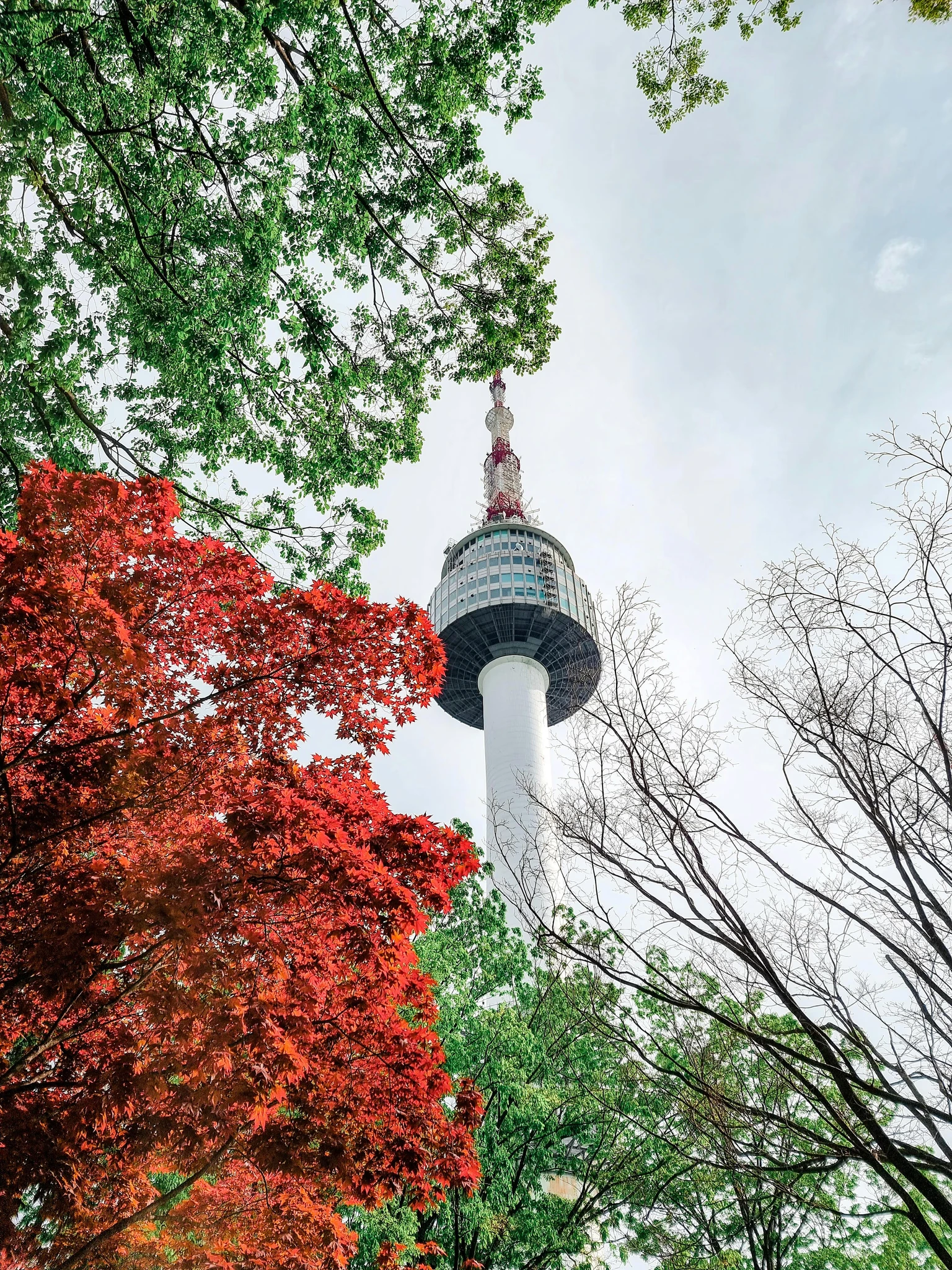 Unveiling Seoul: A First Timer’s Guide to Korea’s Dynamic Capital